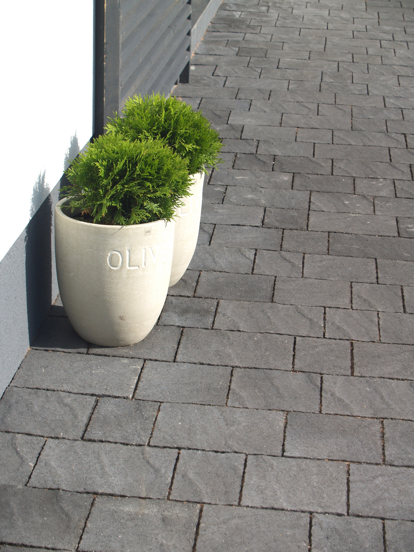 Torino-kivi Rudus musta