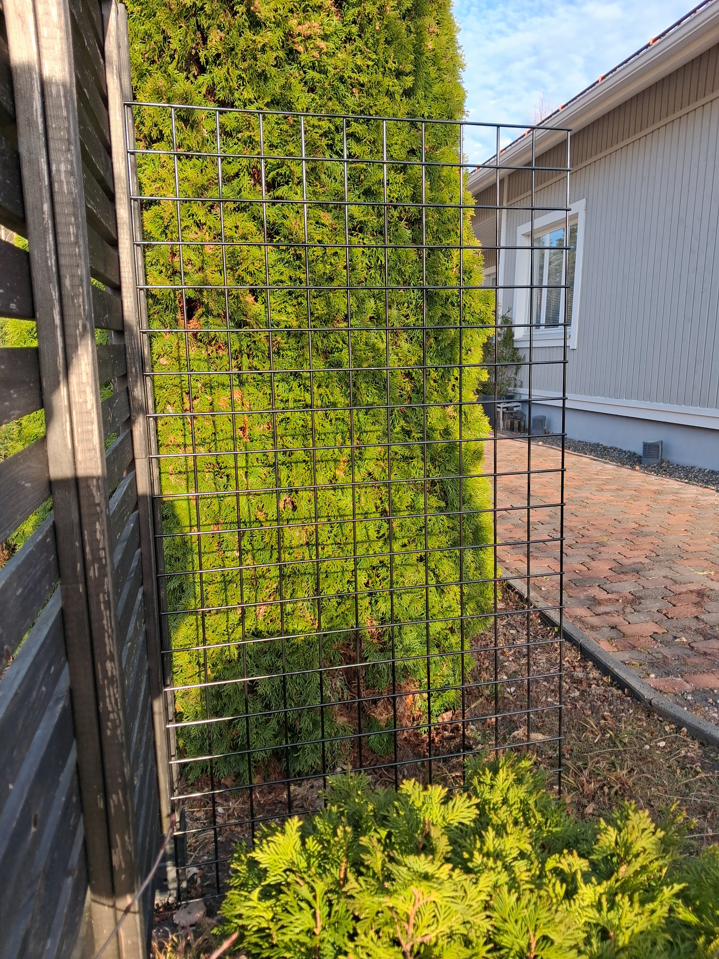 Köynnösaita Goodiy 90x160cm musta