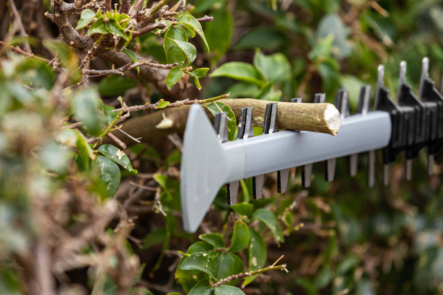 Akkupensasleikkuri Bosch GHE 18V-60 4,0Ah