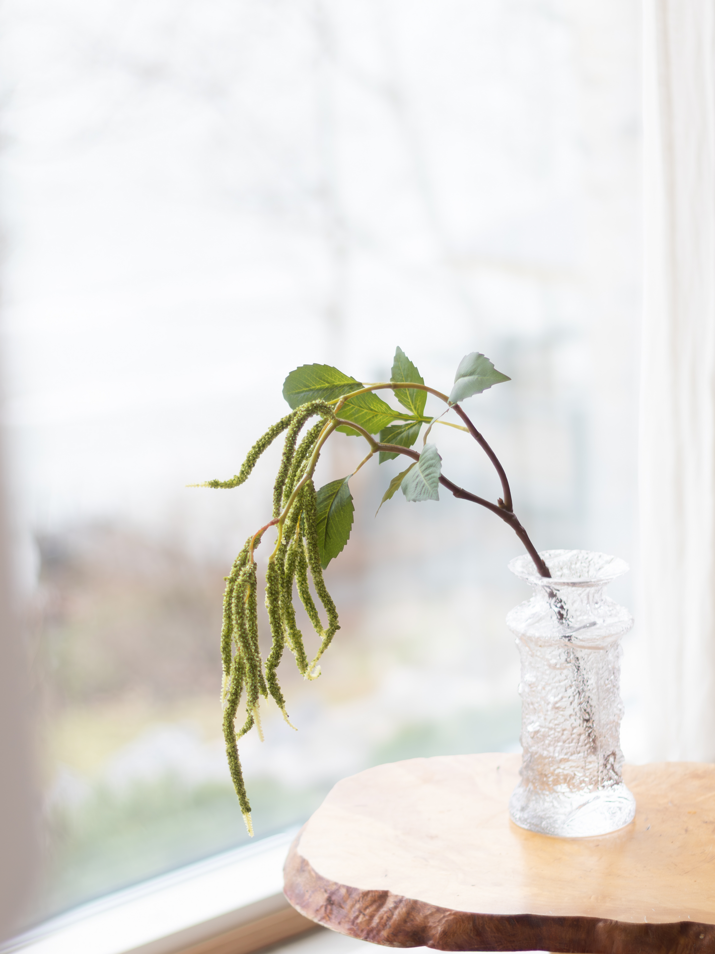 Amarantti Bloom Deco vihreä