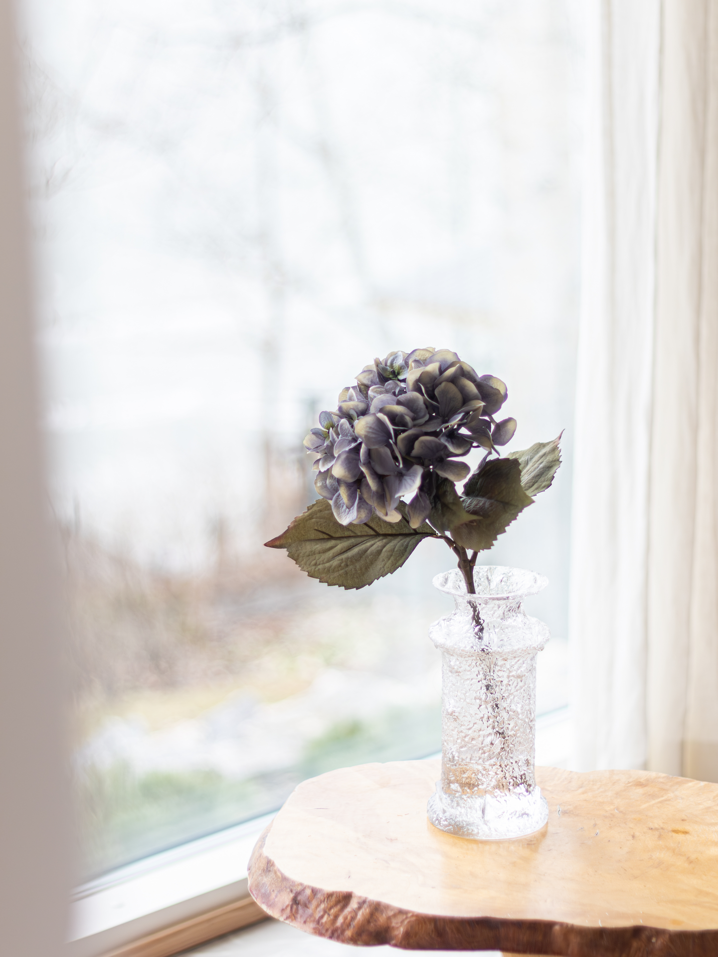 Hortensia Bloom Deco oksa sininen
