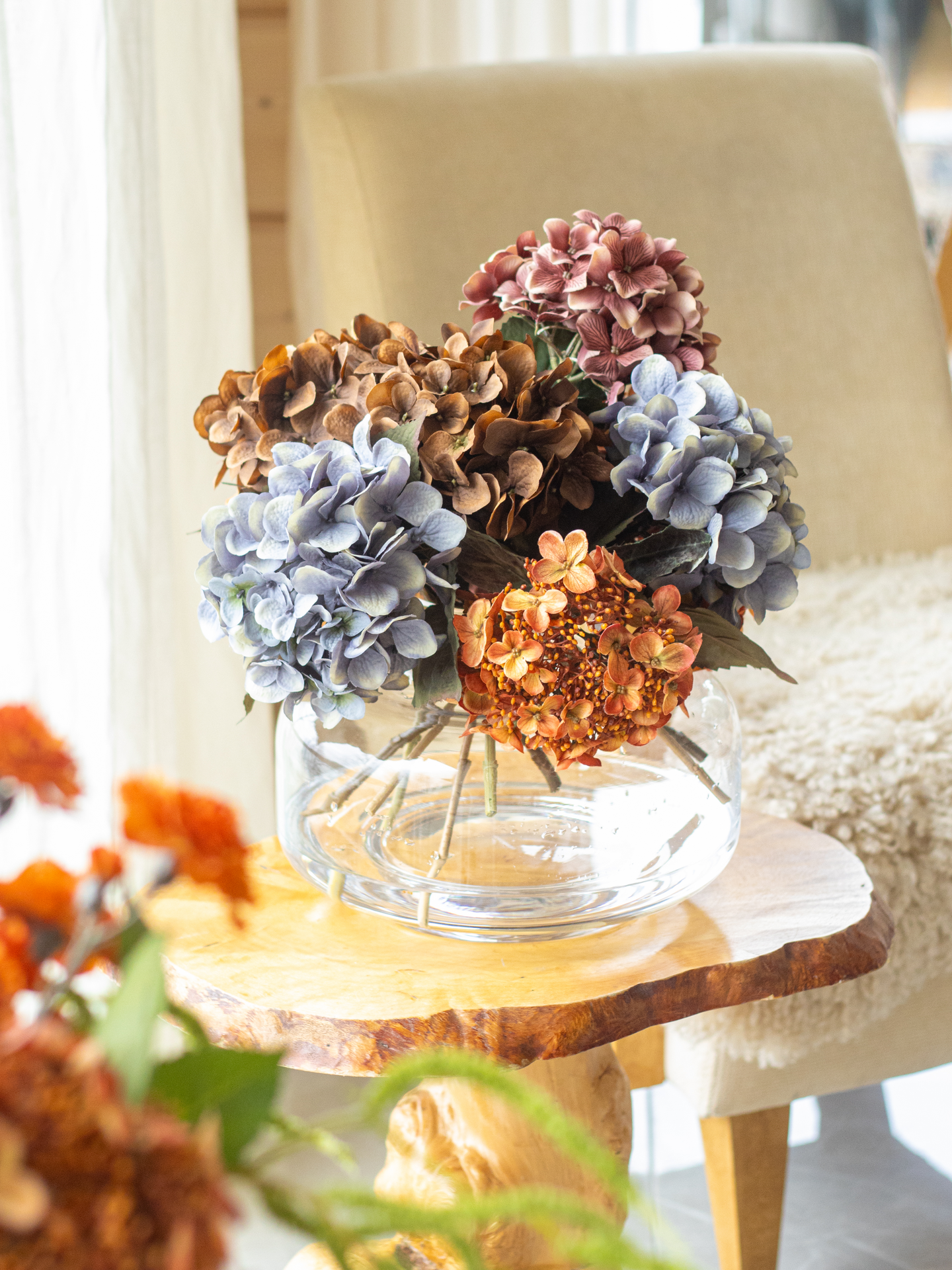 Hortensia Bloom Deco oksa ruskea 