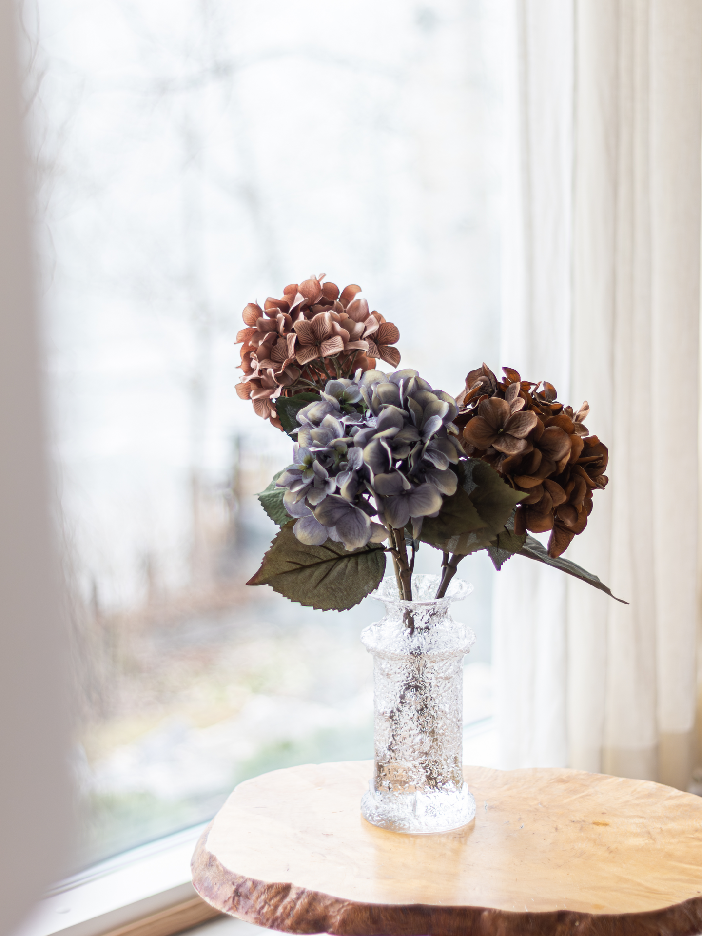 Hortensia Bloom Deco oksa ruskea 