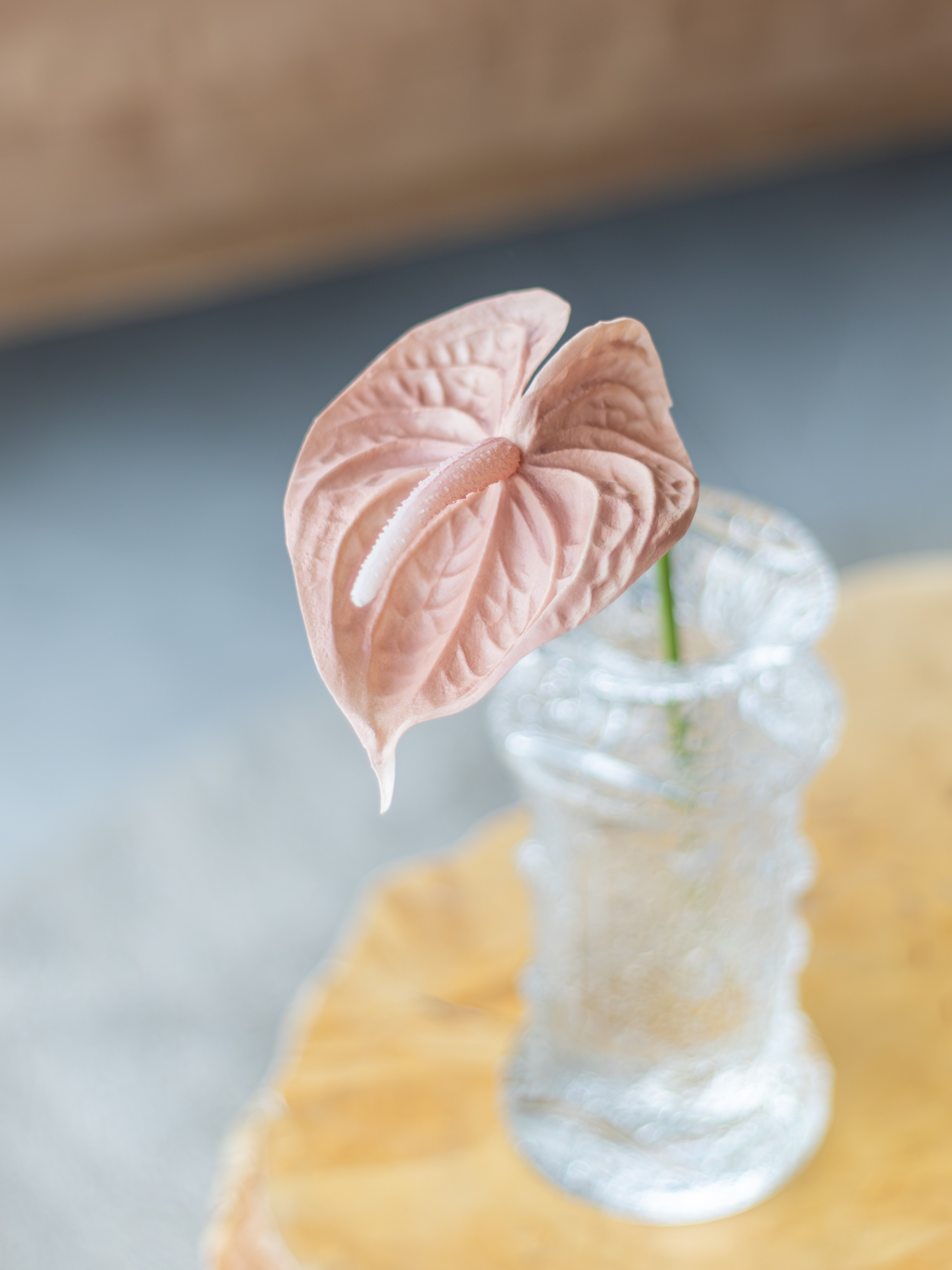 Flamingonkukka Bloom Deco vanha roosa