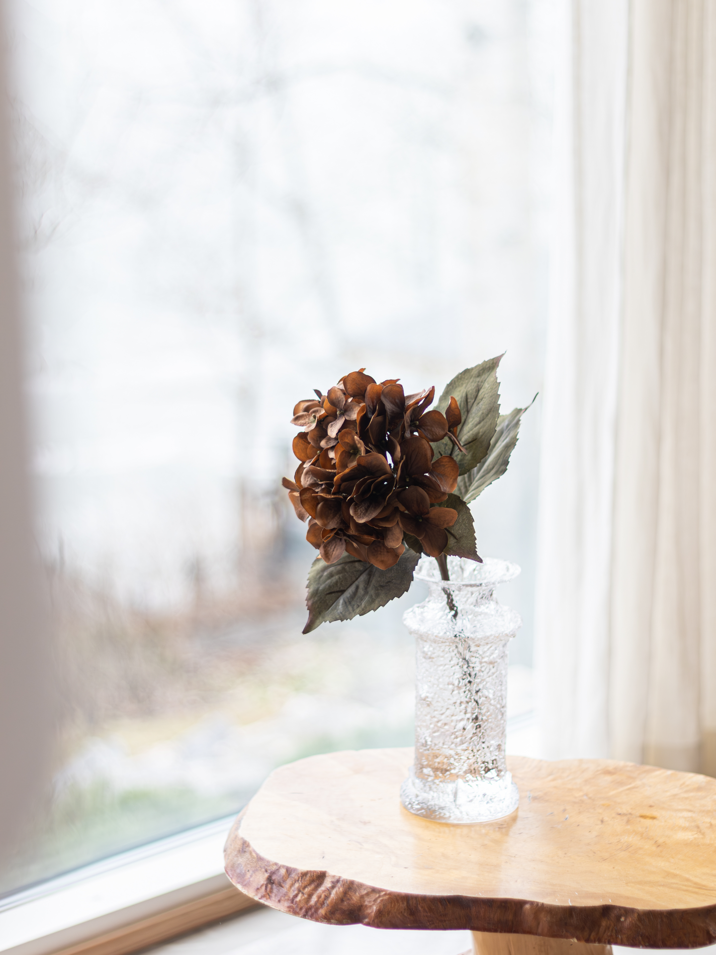 Hortensia Bloom Deco oksa ruskea 