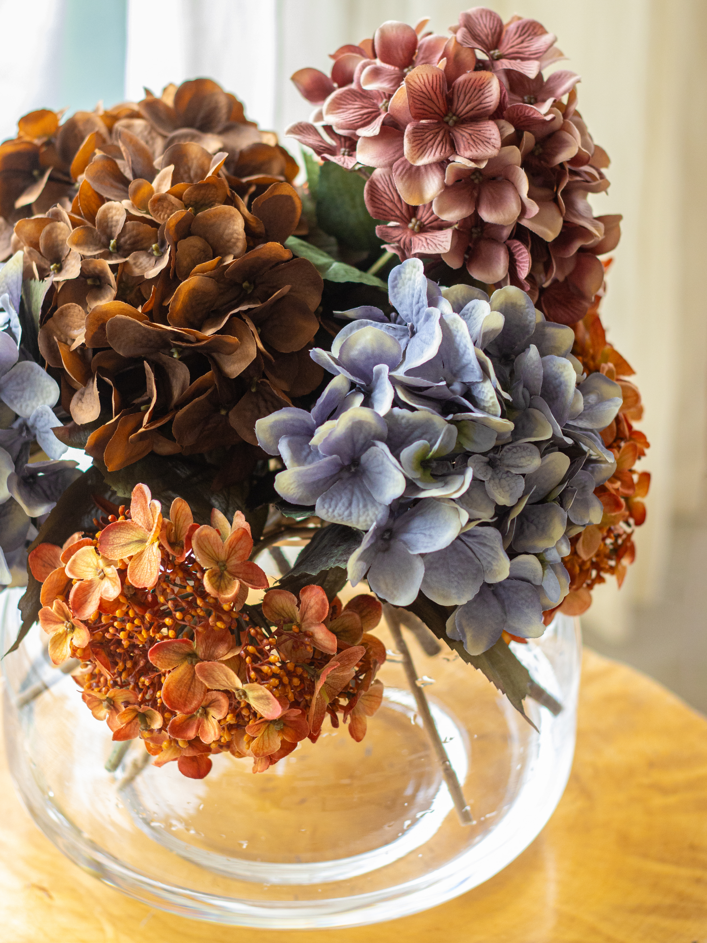 Hortensia Bloom Deco oksa ruskea 