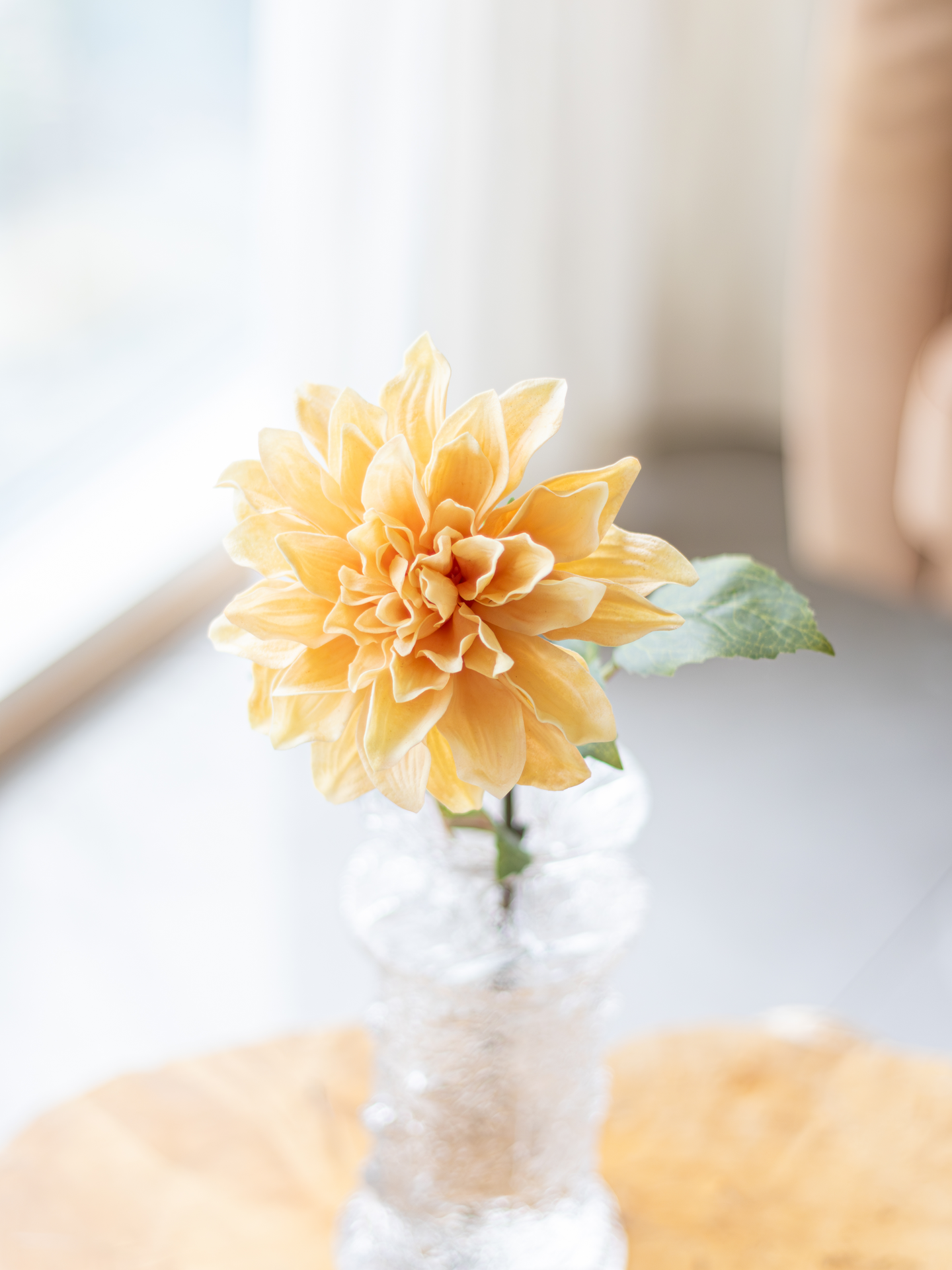 Daalia Bloom Deco oksa keltainen