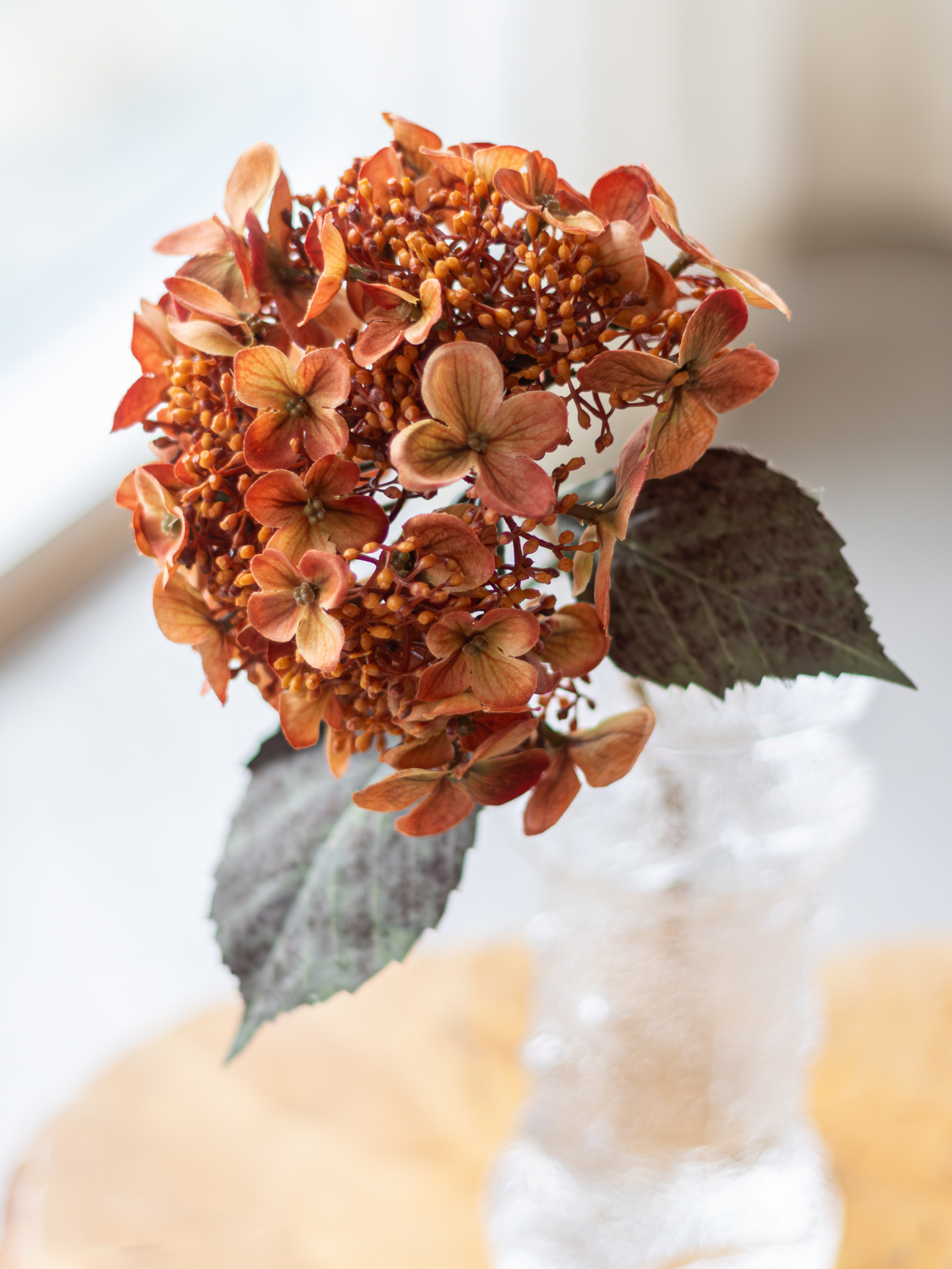 Hortensia Bloom Deco oksa oranssi 