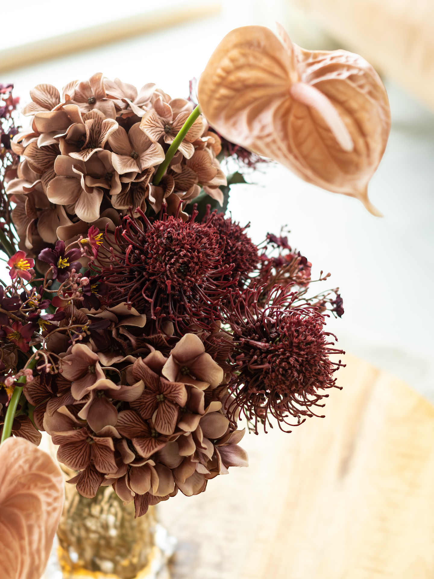 Hortensia Bloom Deco oksa burgundi 