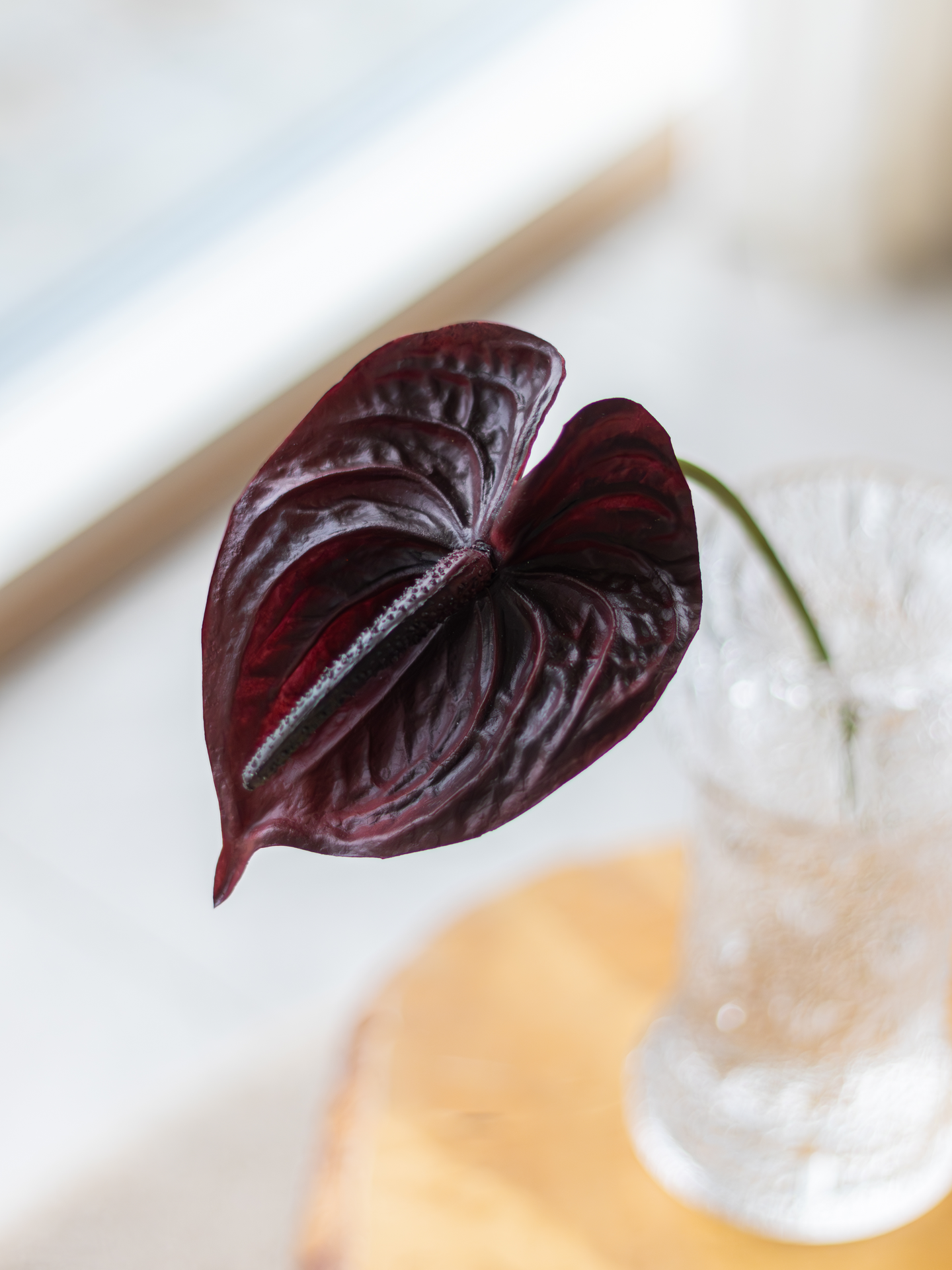 Flamingonkukka Bloom Deco burgundi 