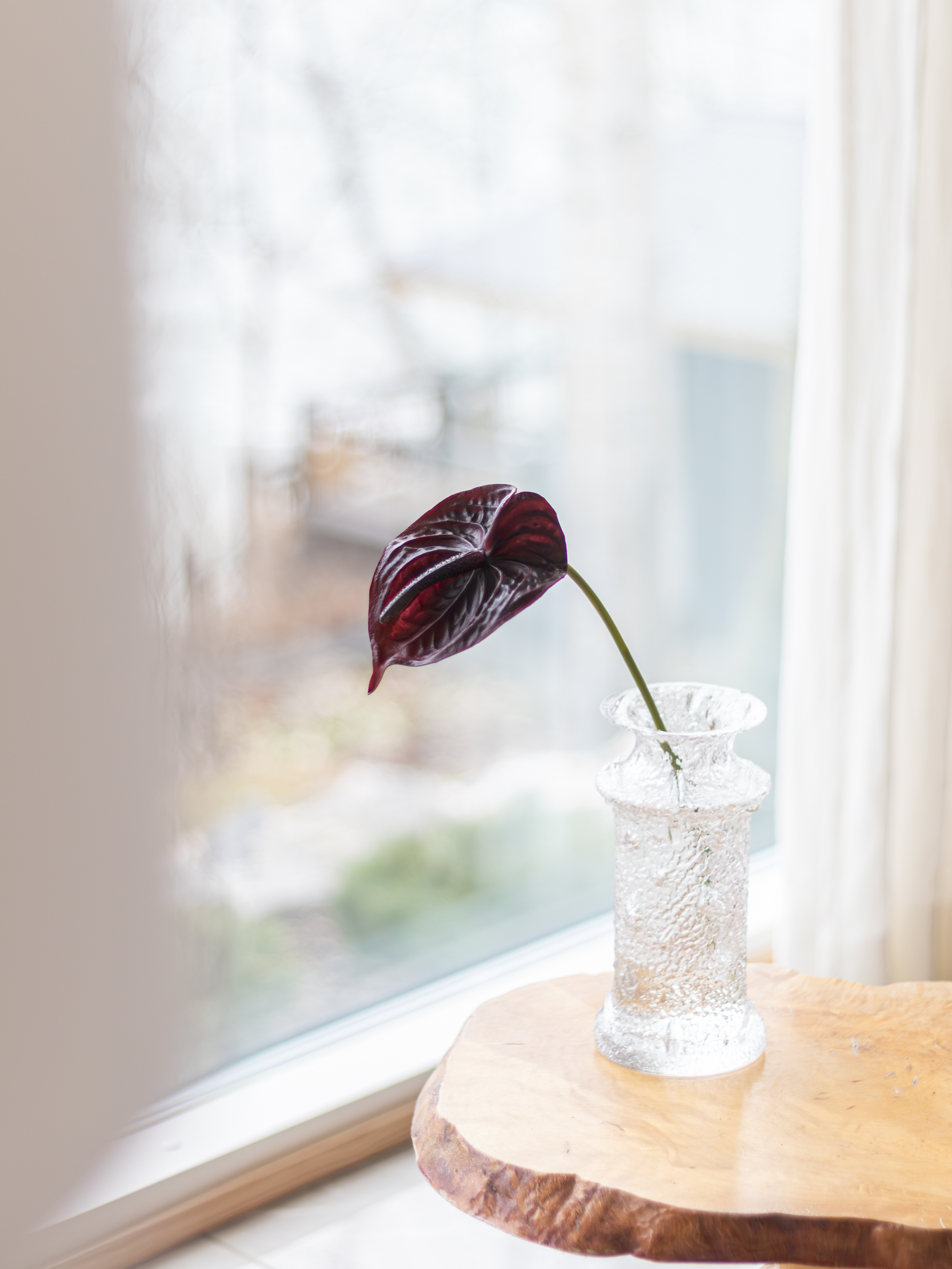 Flamingonkukka Bloom Deco burgundi 