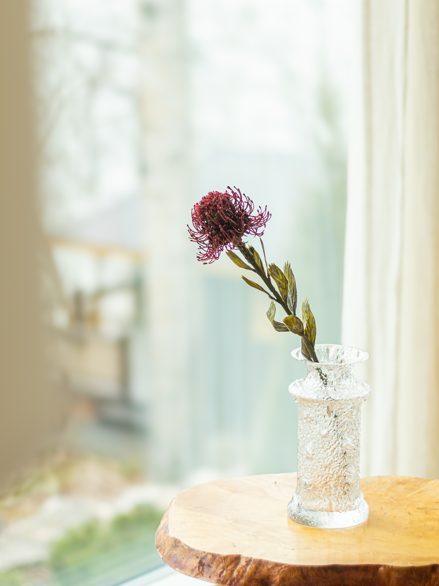 Protea Bloom Deco oranssi/burgundi