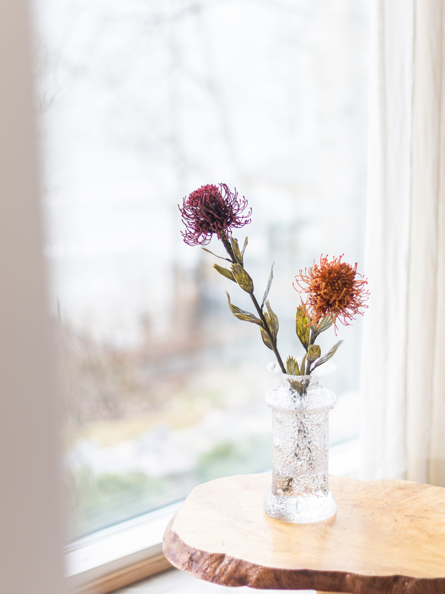 Protea Bloom Deco oranssi/burgundi