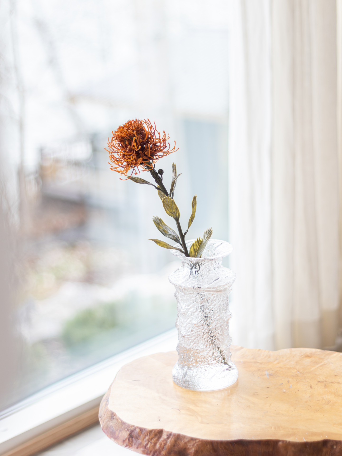 Protea Bloom Deco oranssi/burgundi