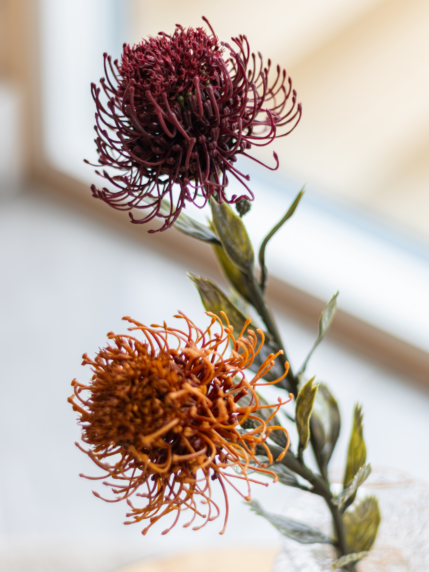 Protea Bloom Deco oranssi/burgundi
