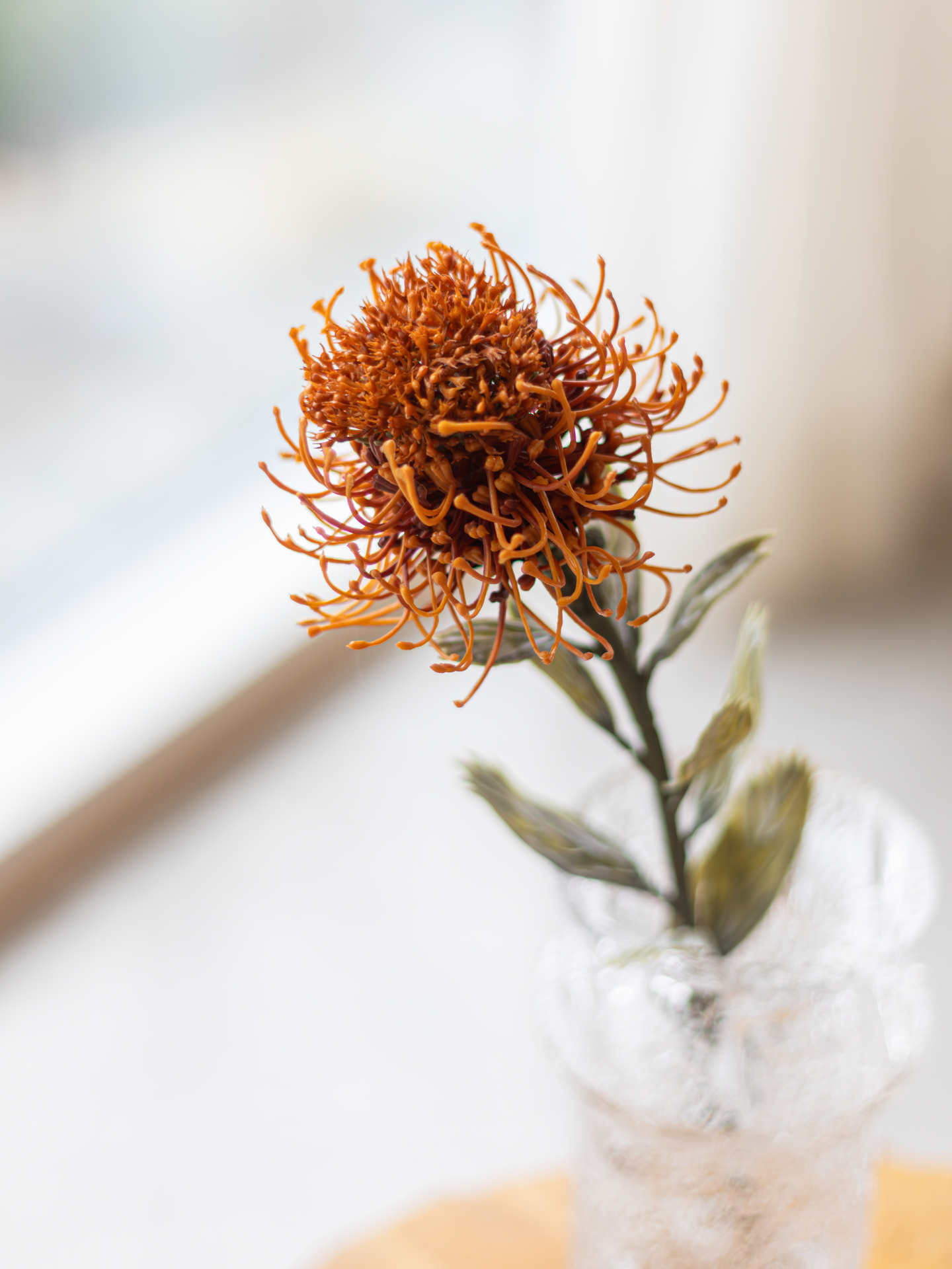 Protea Bloom Deco oranssi/burgundi