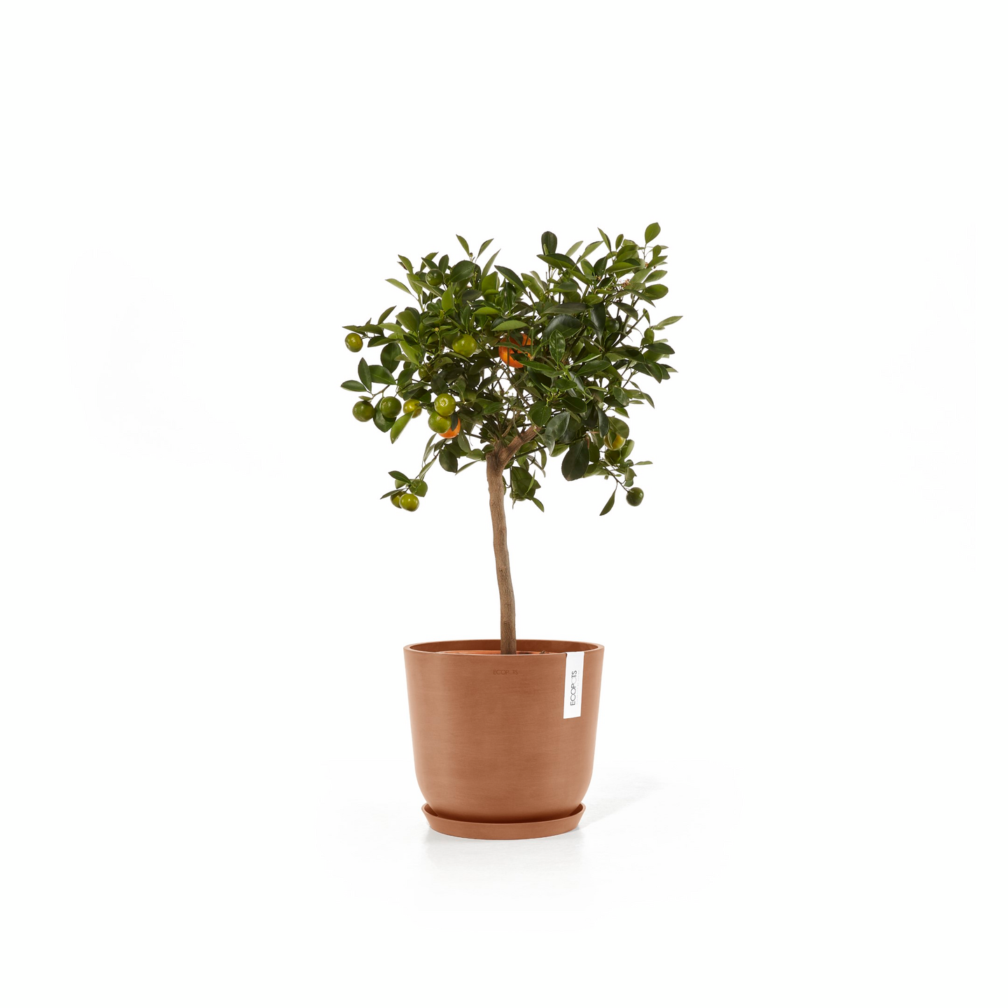 Ruukku Ecopots Oslo 25cm terracotta