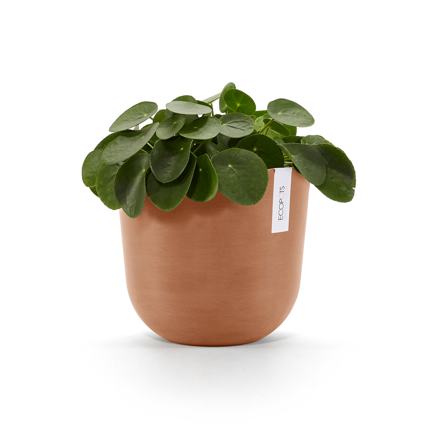 Ruukku Ecopots Oslo 25cm terracotta