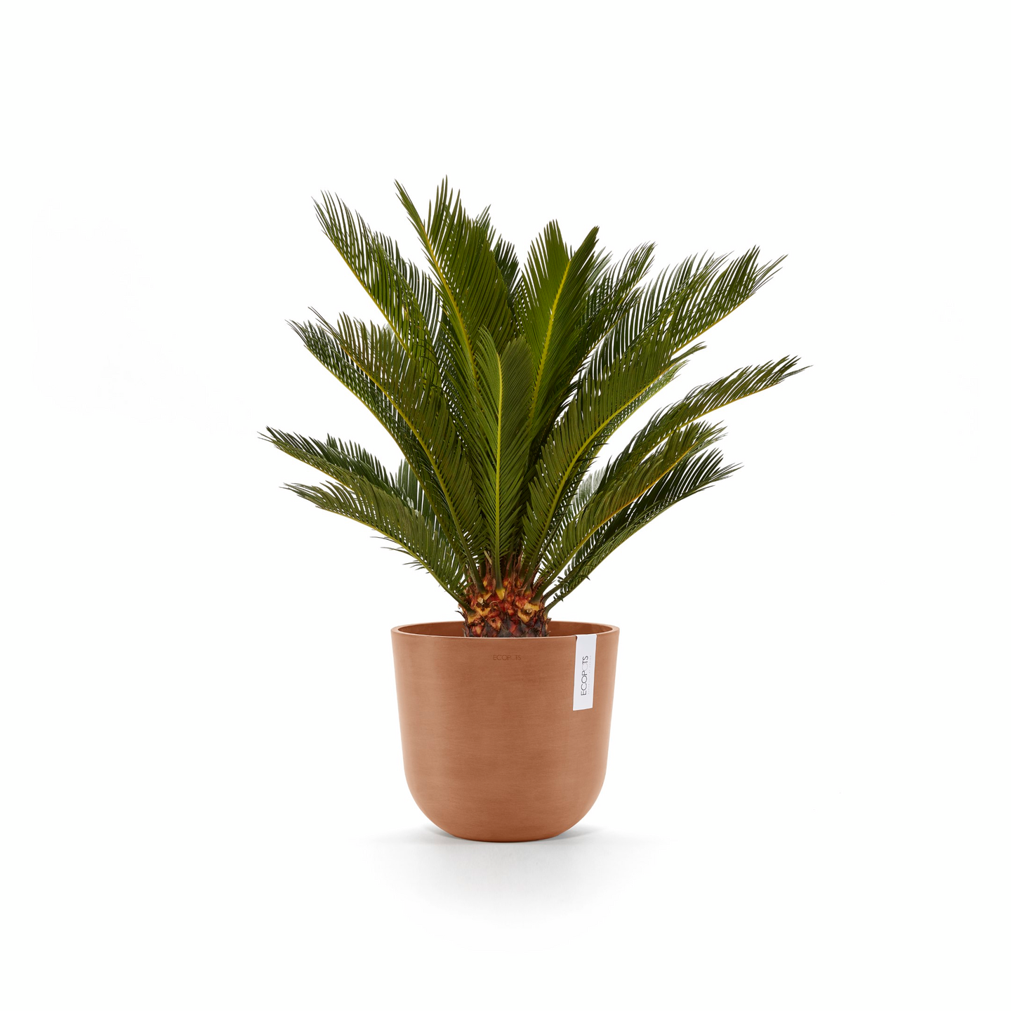 Ruukku Ecopots Oslo 25cm terracotta