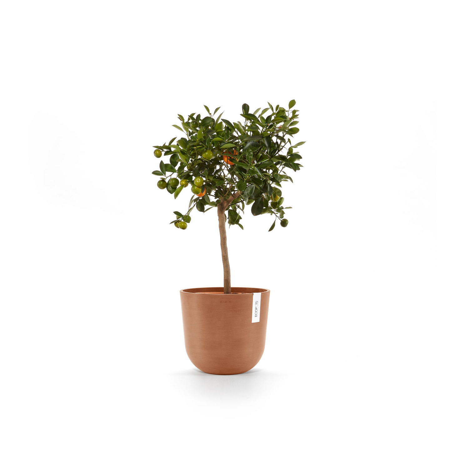 Ruukku Ecopots Oslo 25cm terracotta