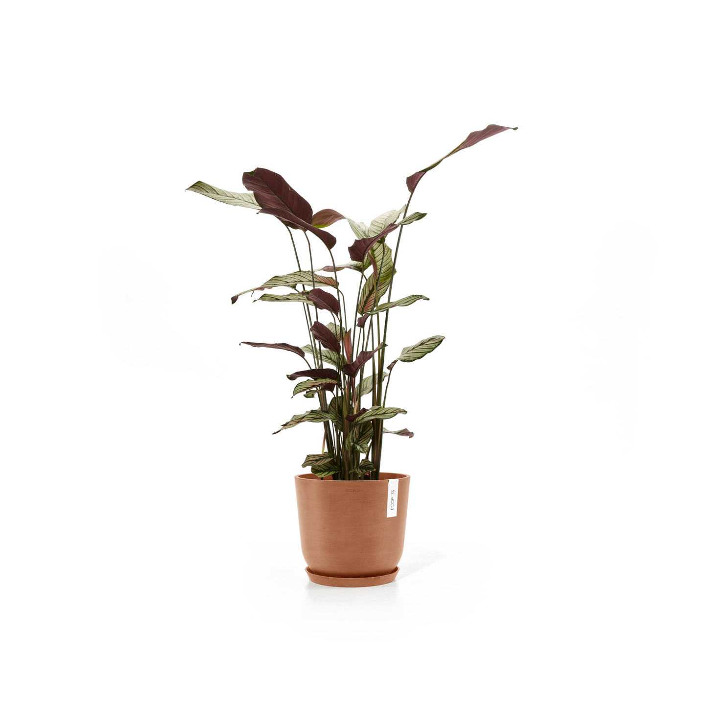 Ruukku Ecopots Oslo 25cm terracotta