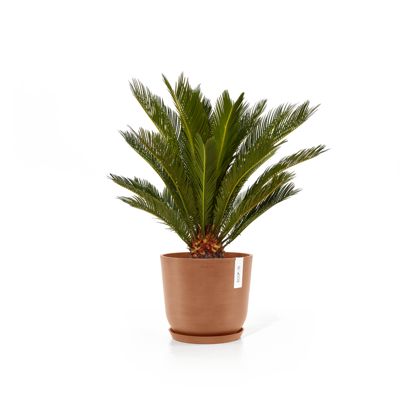 Ruukku Ecopots Oslo 25cm terracotta