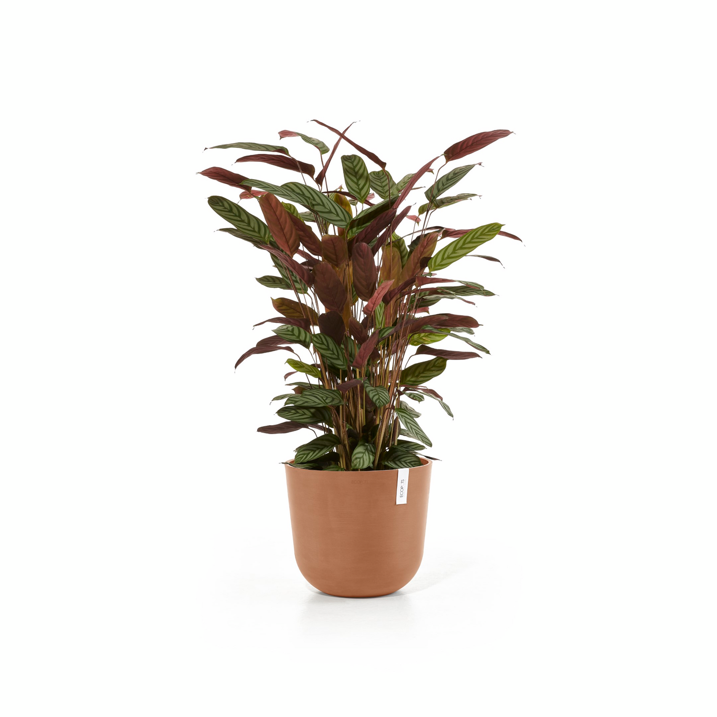 Ruukku Ecopots Oslo 35cm terracotta