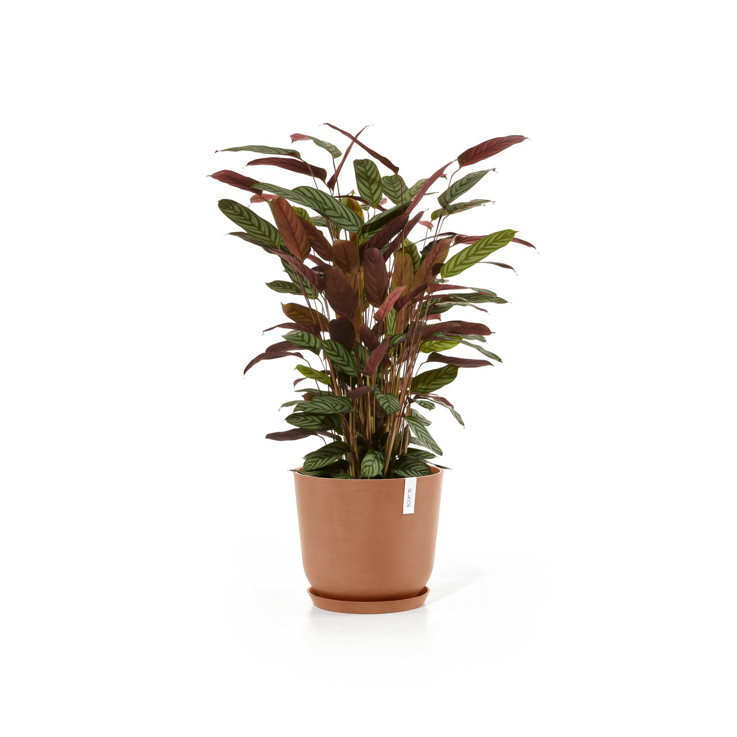 Ruukku Ecopots Oslo 35cm terracotta