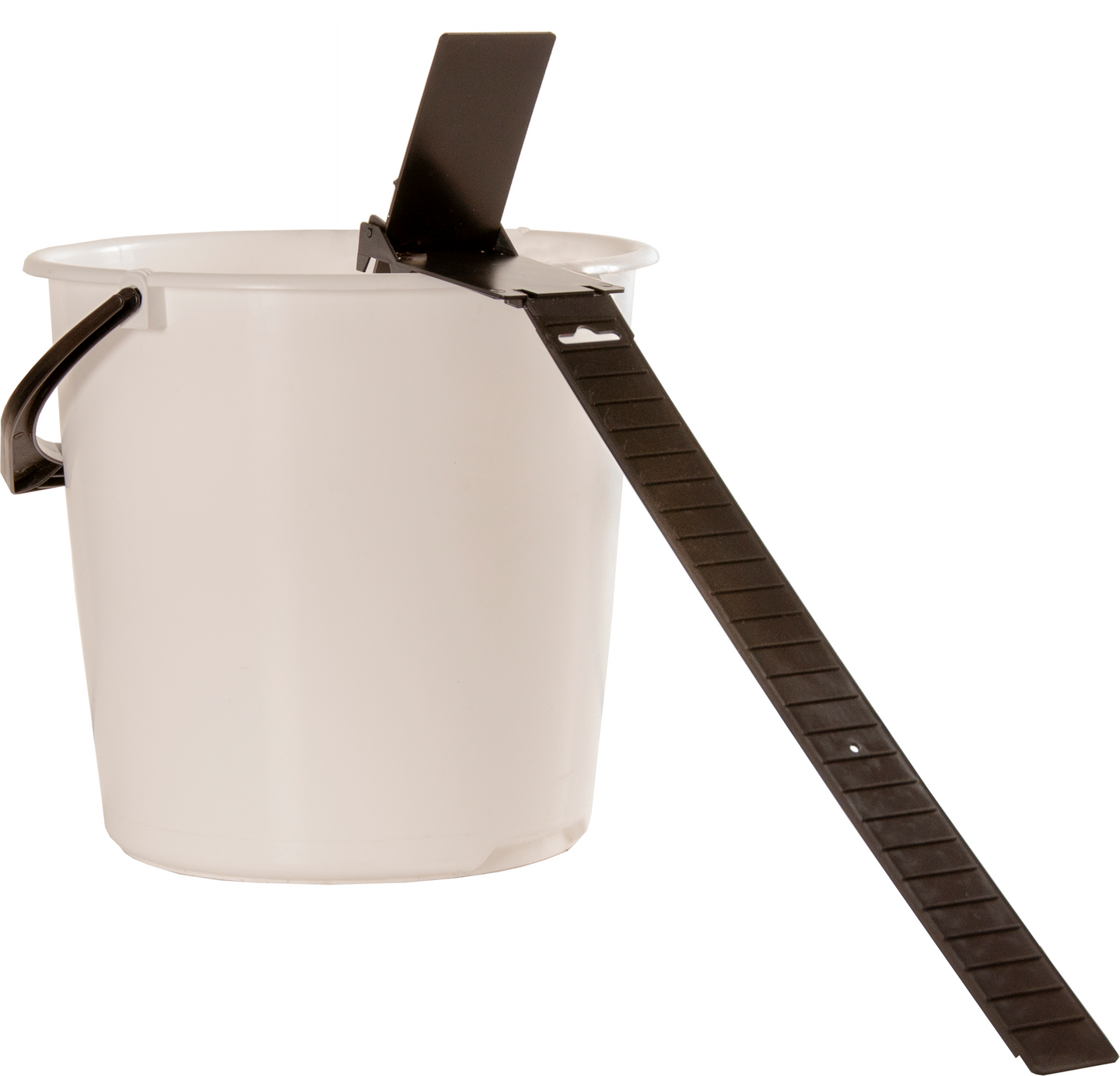 Hiiren & Rotanpyydys kippi