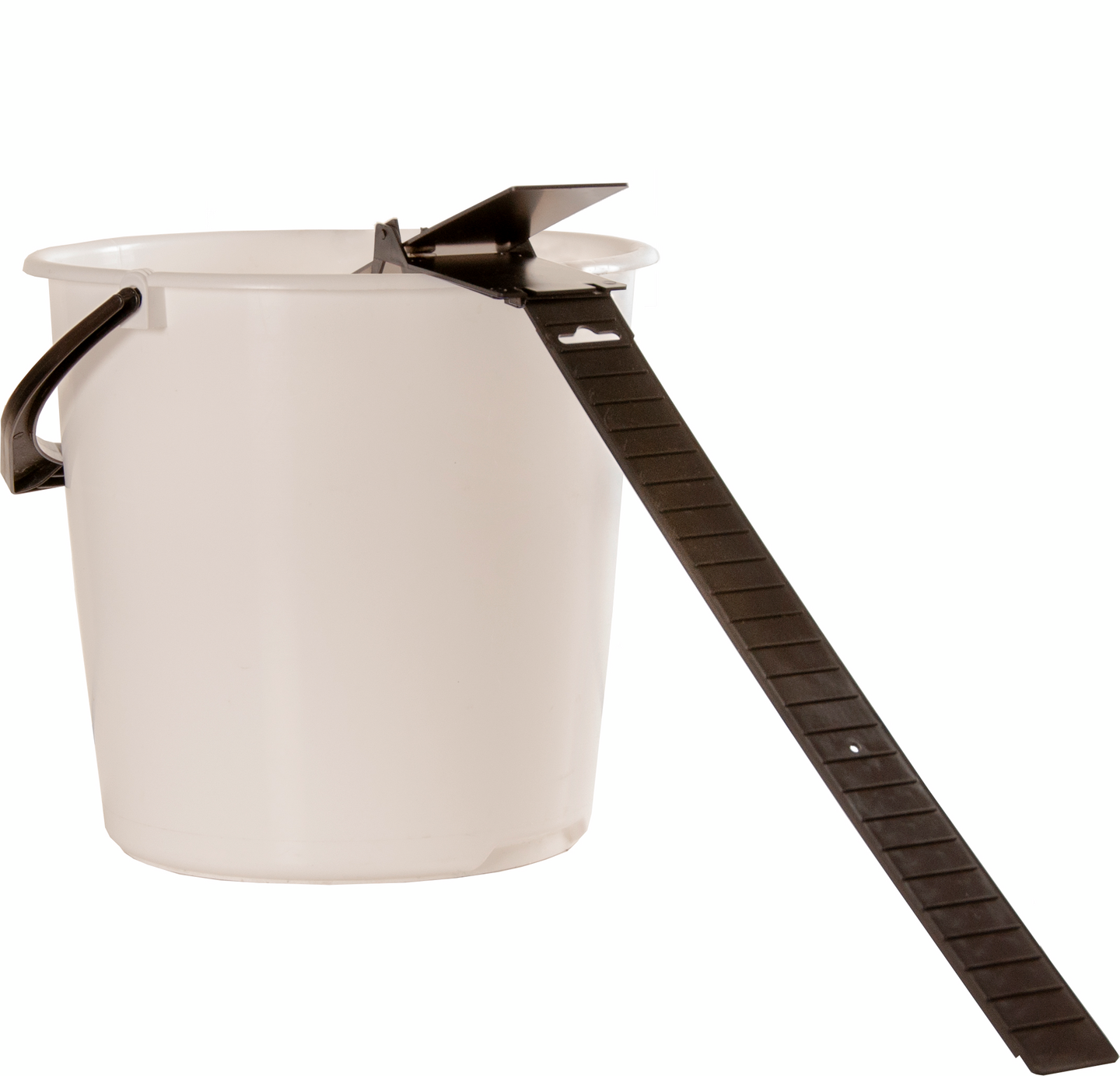 Hiiren & Rotanpyydys kippi