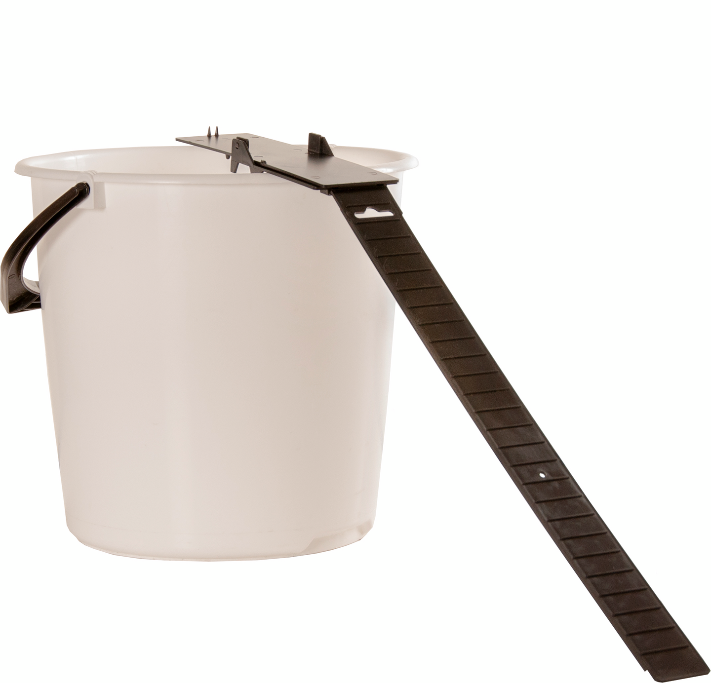 Hiiren & Rotanpyydys kippi