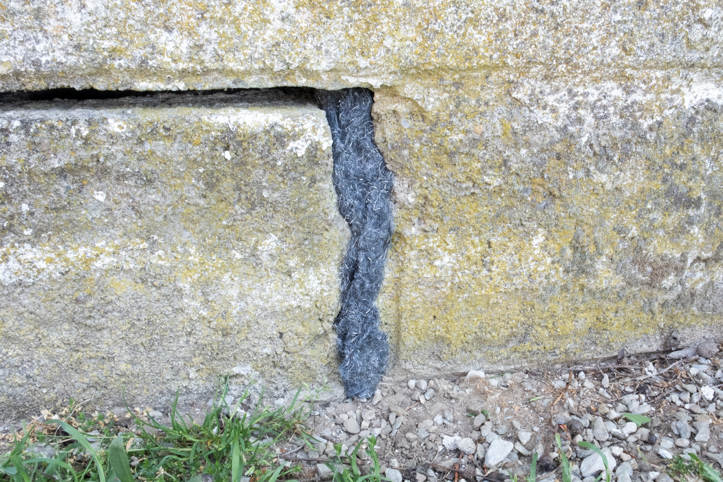 Teräsvilla hiiri ja rotta 4x40cm