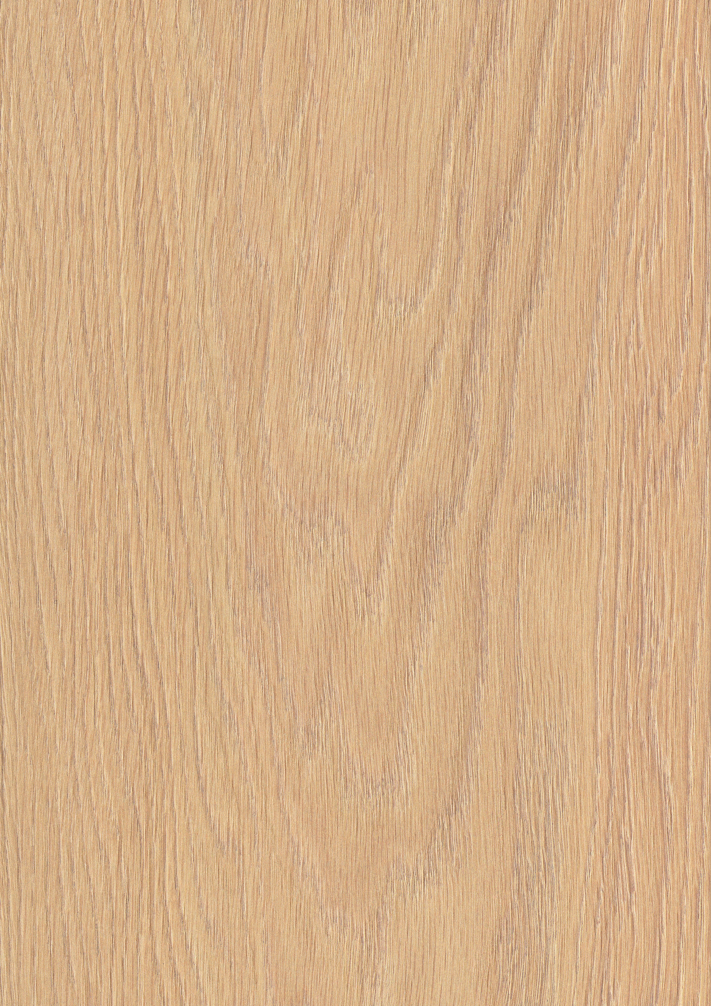 Laminaatti Cello Atlantic 8/32 K843 Natural Darcy Oak V4 2,26M2 1288x195x8mm