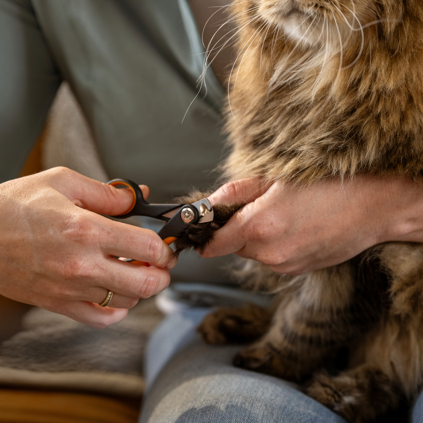 Kynsileikkuri pieni Fiskars