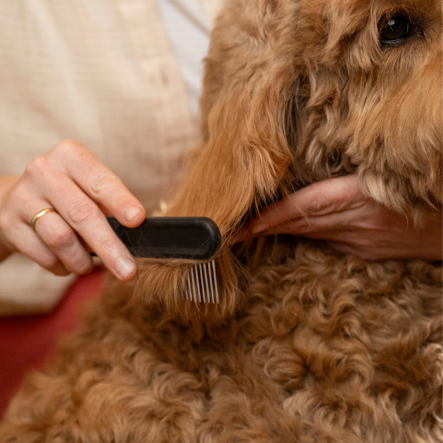Harvapiikkinen kampa Fiskars