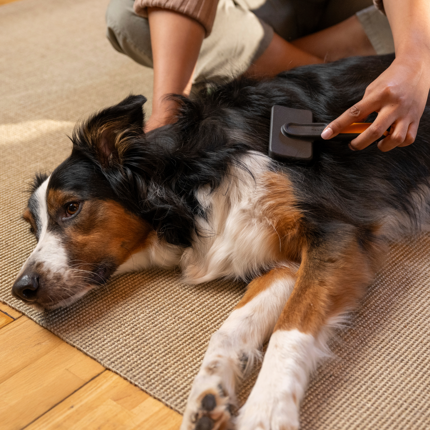 Hierova harja Fiskars