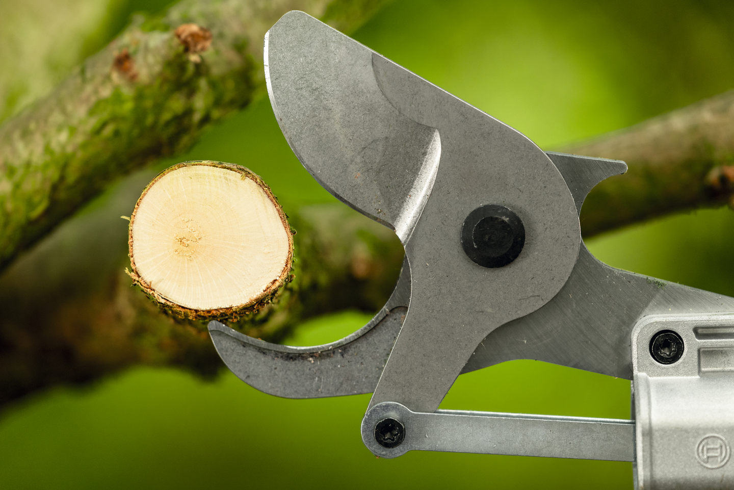 Pitkävartiset akkuoksasakset Bosch PRO GGP18V-45EP Solo