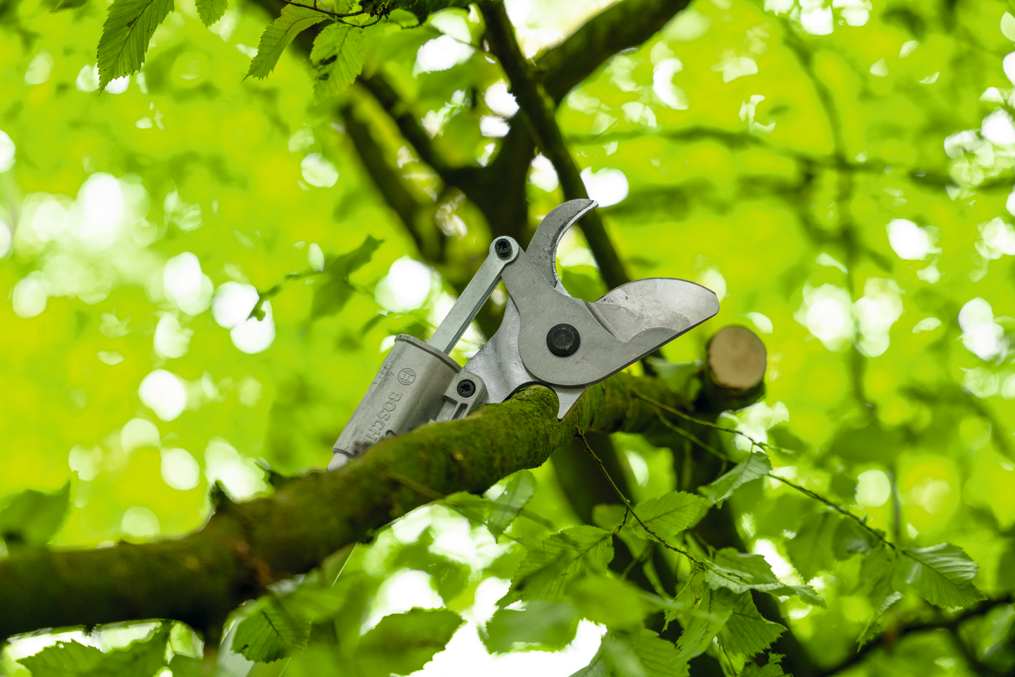 Pitkävartiset akkuoksasakset Bosch PRO GGP18V-45EP Solo