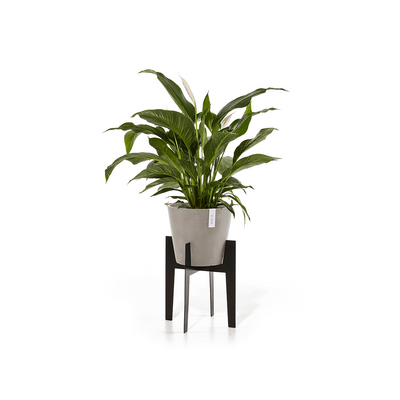 Jalusta Ecopots ruukulle 40cm musta