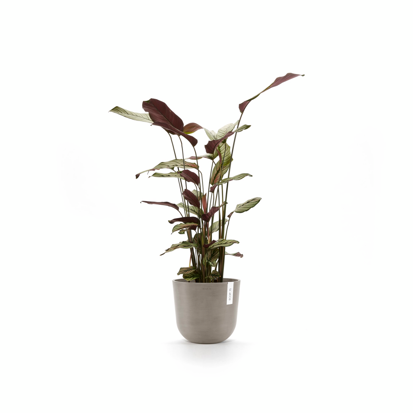 Ruukku Ecopots Oslo 25cm taupe
