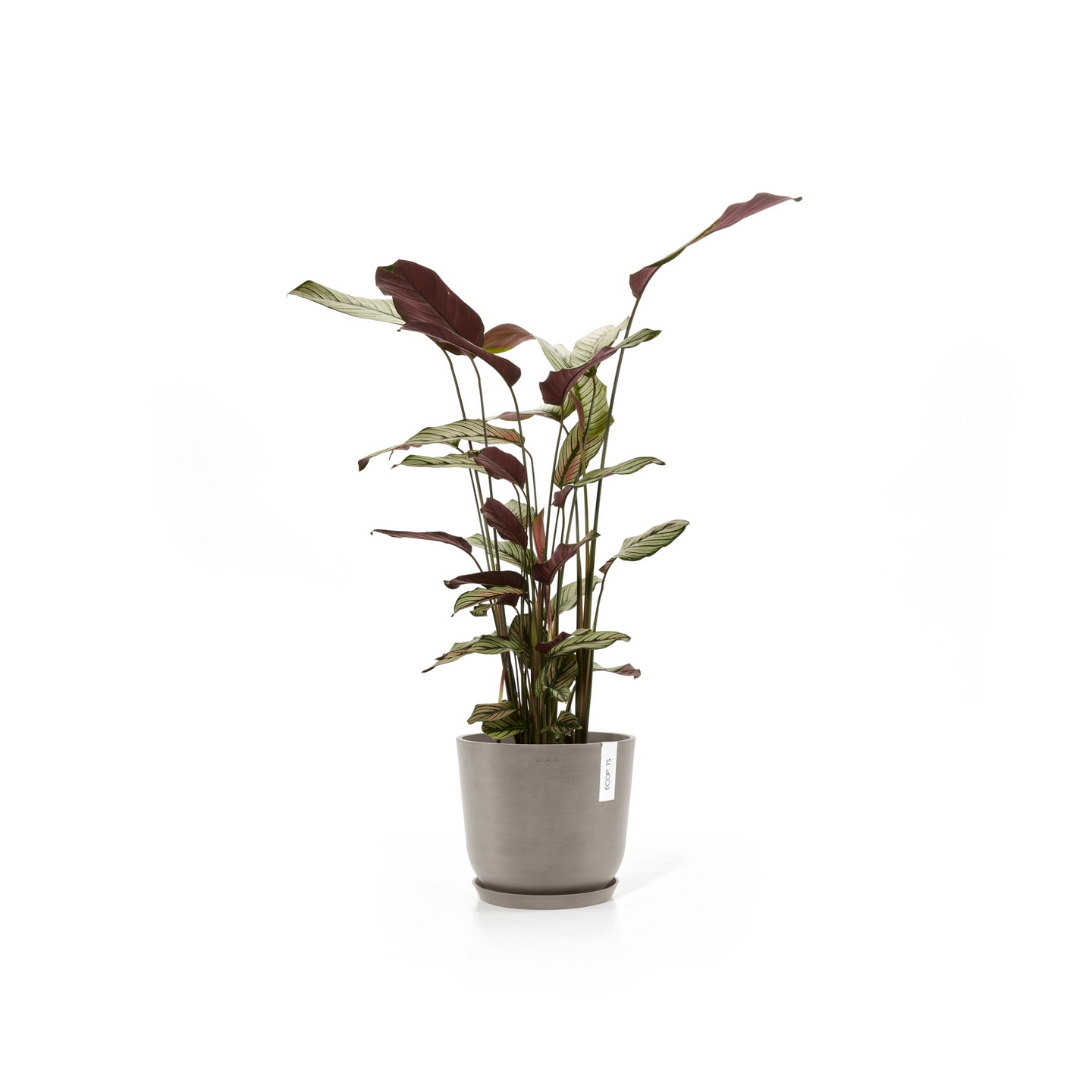 Ruukku Ecopots Oslo 25cm taupe