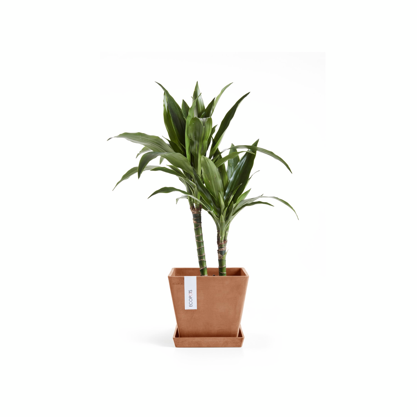 Ruukku Ecopots Rotterdam 20cm terracotta