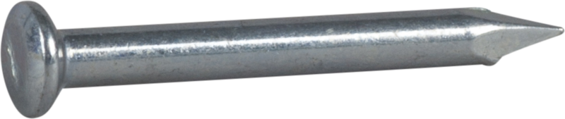 SLAGSPIKER 3,0X30 FZB -100