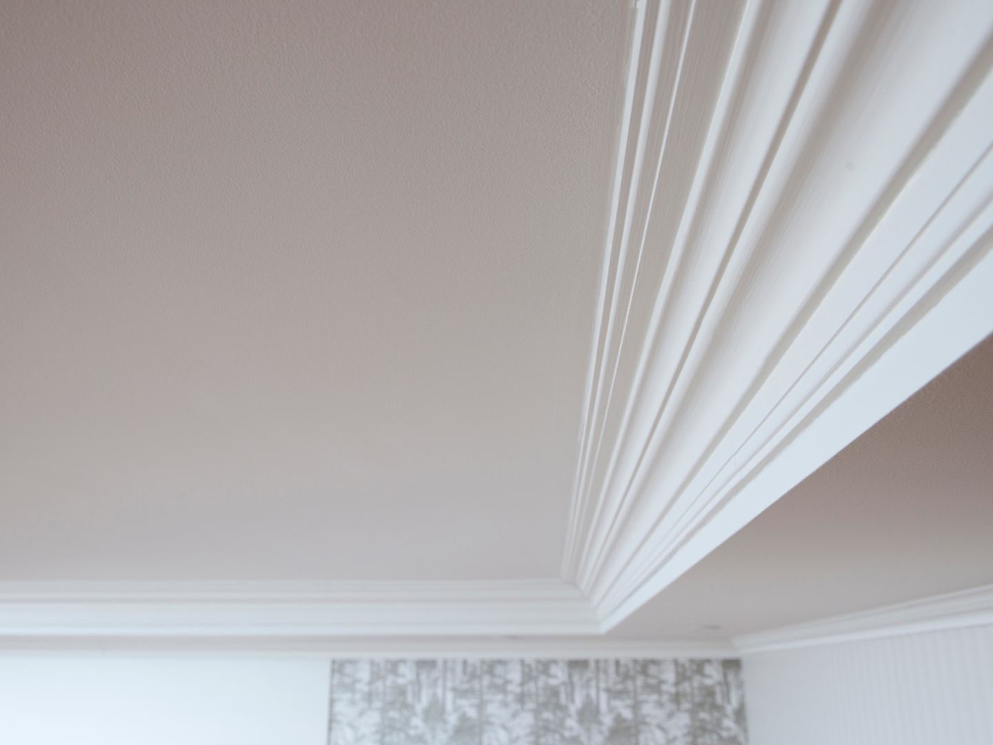 FURU 21X095 TAKLIST ANT MALT 81959