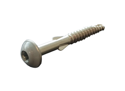 SOCKELSKRUV SCR-WW ASH MERCURY 4,8X40 250ST/PKT  SWISSPEARL