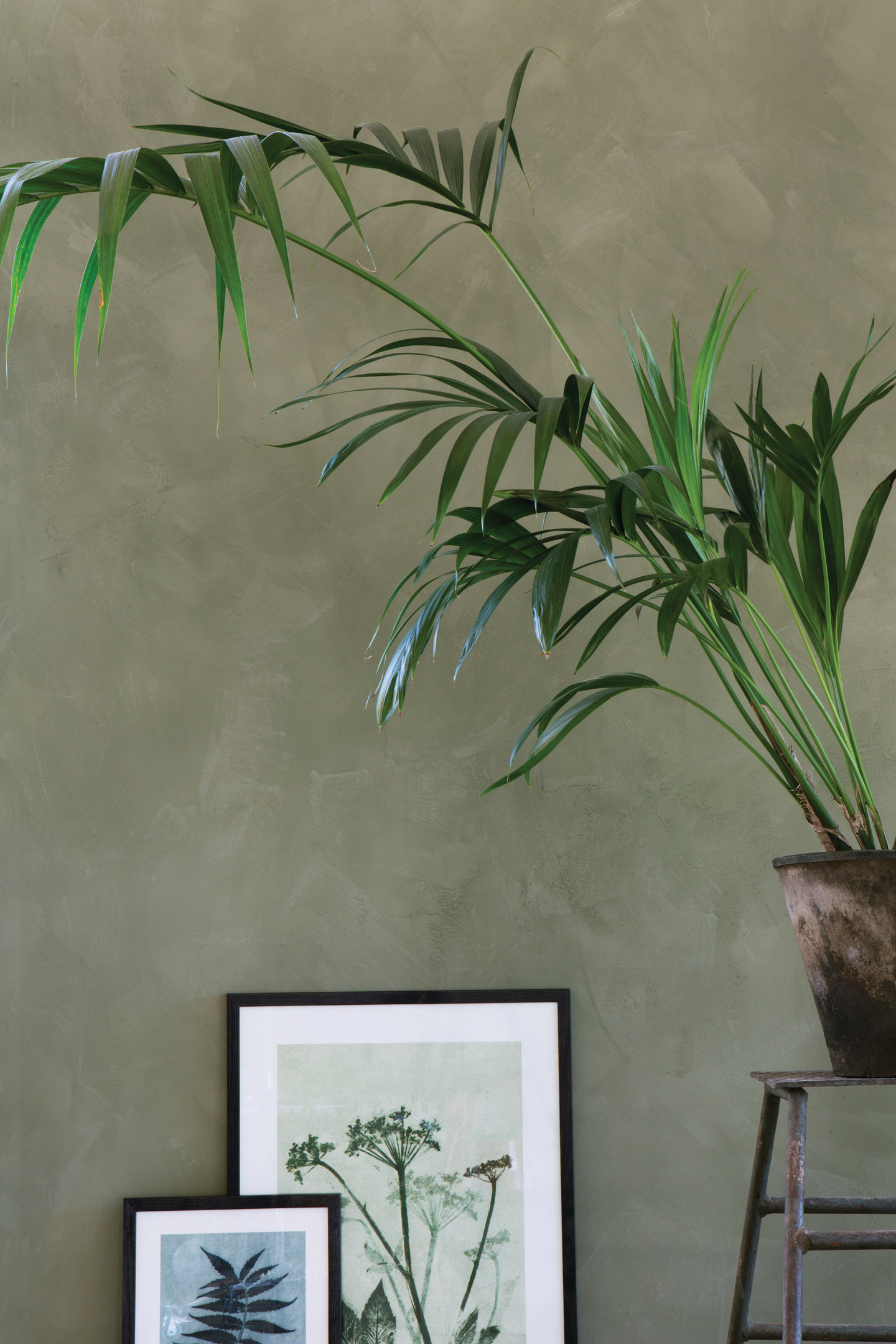 SPÅNSKIVA BYGG WALLS TO PAINT FORESTIA 12X620X2500 2ST/PKT