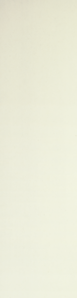 Sisustuslevy Fibo 520 HG Ivory