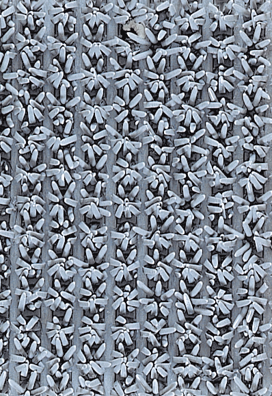 DÖRRMATTA F-T GRÅ 90CM /M 16M/RLE