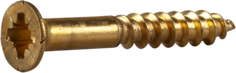 TRÄSKRUV FS MÄSS INV 3,5X25 10