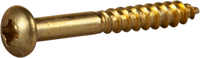 TRÄSKRUV ESSVE KULLRIGT HUVUD MÄSSING 3,0X25 10ST